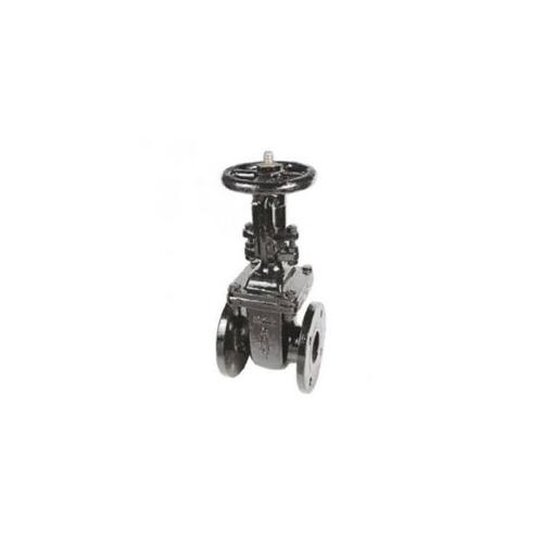 Sant Cast Iron Wedge Gate Sluice Valve Renewable Seat 150 mm, CR 19B